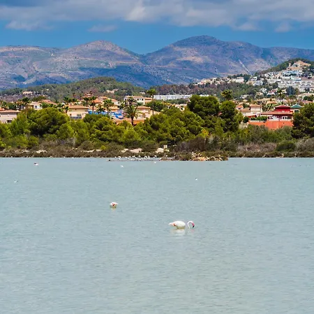 Apartment Costablancadreams Voramar In *